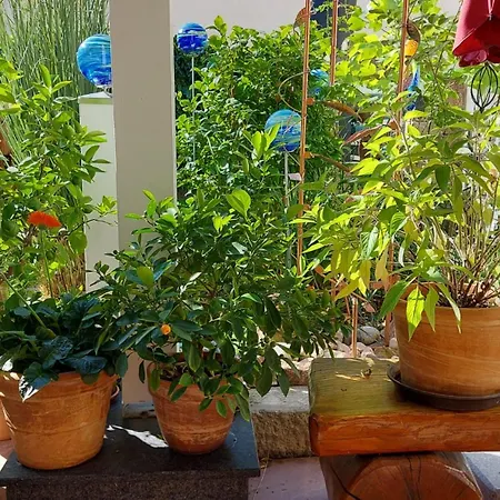 Appartement Garten Oase