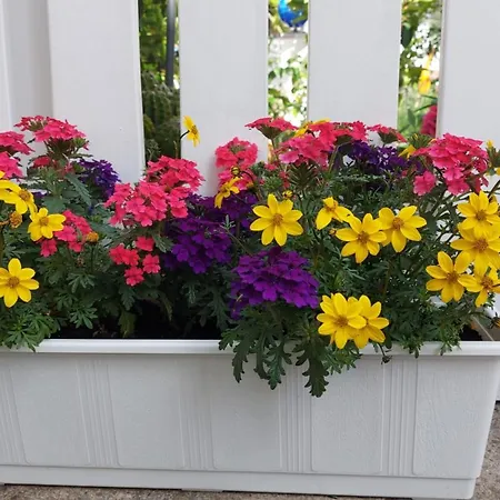 Garten Oase 公寓