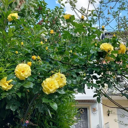 Garten Oase 公寓 凯斯特尔特